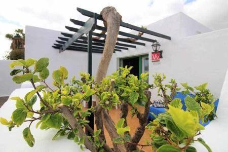 Sa Calma Beach House Costa Teguise Zewnętrze zdjęcie